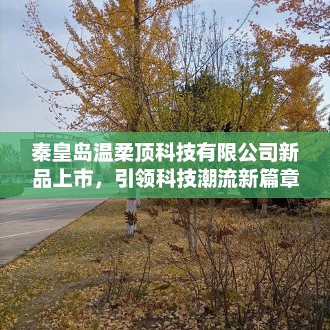 秦皇島溫柔頂科技新品發(fā)布，科技潮流新篇章開啟