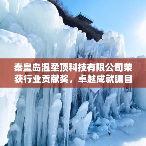 秦皇島溫柔頂科技榮獲行業(yè)貢獻獎，引領(lǐng)創(chuàng)新風(fēng)潮，卓越成就矚目