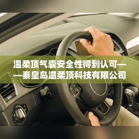 秦皇島溫柔頂科技引領(lǐng)行業(yè)新標(biāo)桿，氣囊安全性備受認可