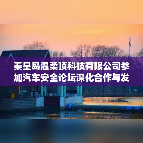秦皇島溫柔頂科技參加汽車安全論壇，深化合作，共謀發(fā)展