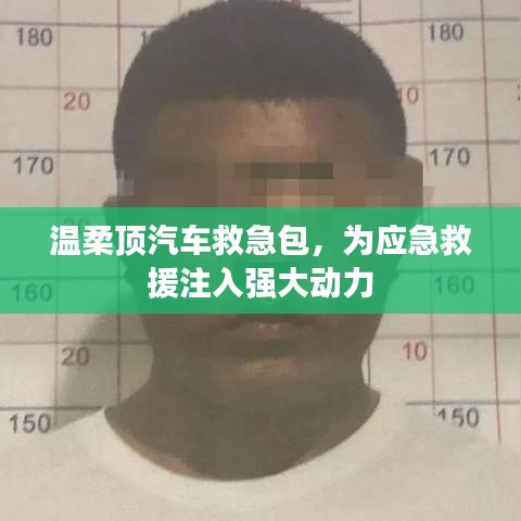 溫柔頂汽車救急包，應(yīng)急救援動力之源