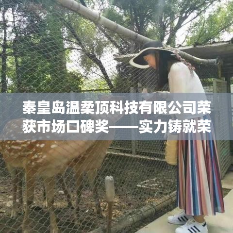 秦皇島溫柔頂科技榮獲市場(chǎng)口碑獎(jiǎng)，實(shí)力創(chuàng)新，引領(lǐng)未來(lái)