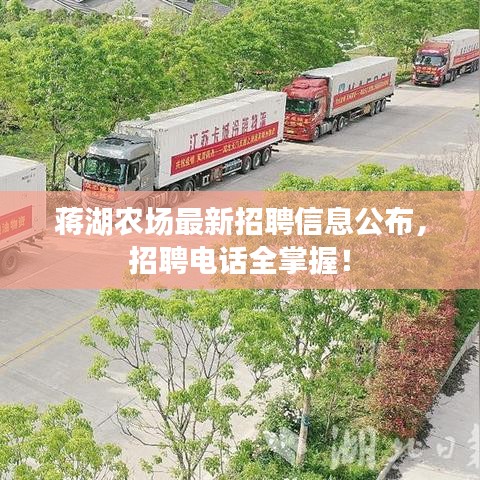 蔣湖農(nóng)場(chǎng)最新招聘信息公布，招聘電話全掌握！