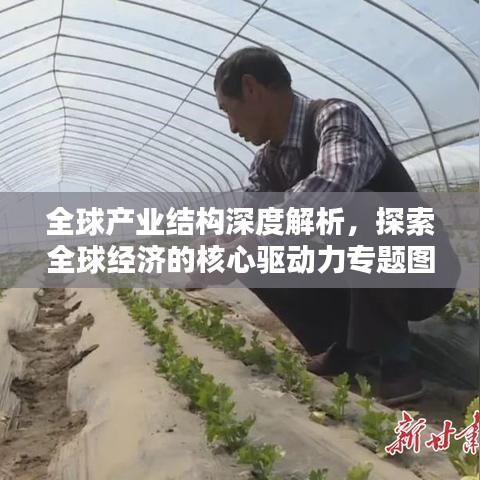 全球產(chǎn)業(yè)結(jié)構(gòu)深度解析，探索全球經(jīng)濟的核心驅(qū)動力專題圖書