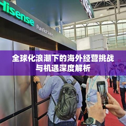 全球化浪潮下的海外經(jīng)營(yíng)挑戰(zhàn)與機(jī)遇深度解析