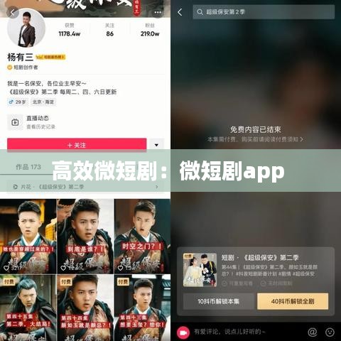 高效微短?。何⒍虅pp 