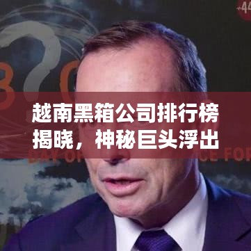 越南黑箱公司排行榜揭曉，神秘巨頭浮出水面
