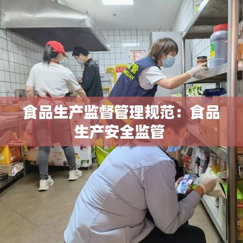 食品生產(chǎn)監(jiān)督管理規(guī)范：食品生產(chǎn)安全監(jiān)管 