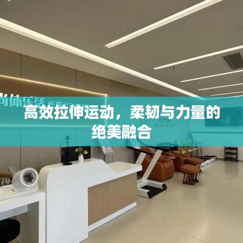 高效拉伸運(yùn)動(dòng)，柔韌與力量的絕美融合