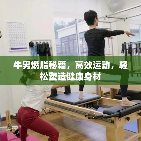 牛男燃脂秘籍,高效運動,輕松塑造健康身材