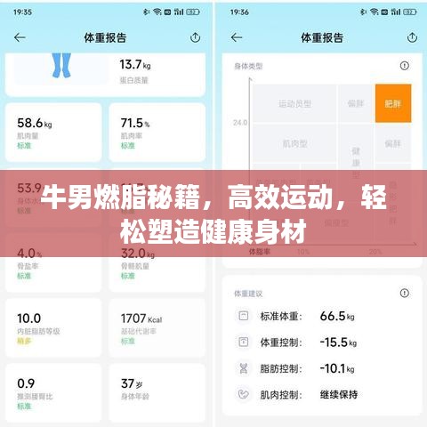 牛男燃脂秘籍,高效運動,輕松塑造健康身材