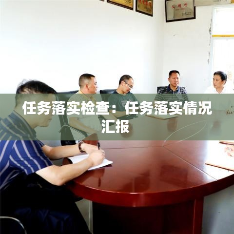任務(wù)落實(shí)檢查：任務(wù)落實(shí)情況匯報(bào) 