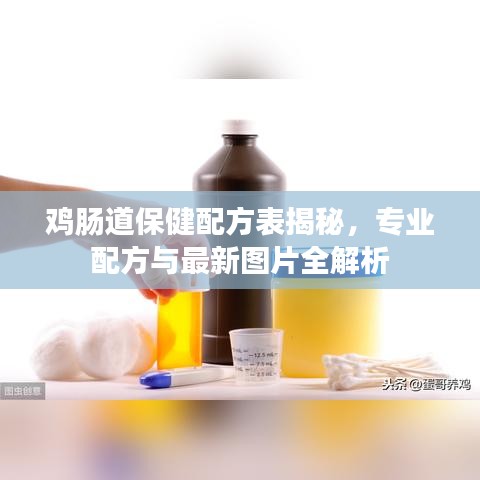 雞腸道保健配方表揭秘，專業(yè)配方與最新圖片全解析