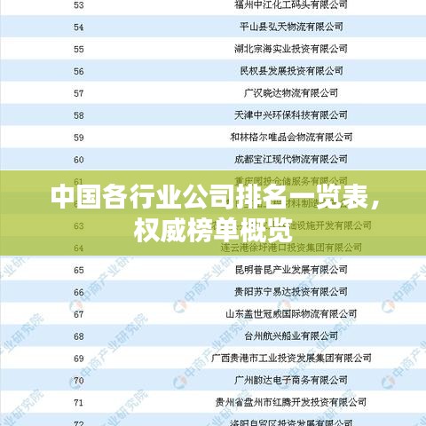 中國各行業(yè)公司排名一覽表，權(quán)威榜單概覽