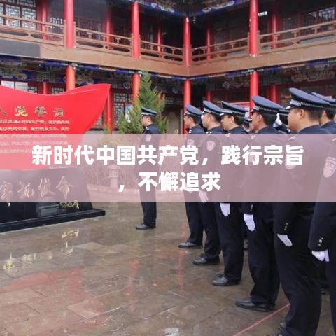 新時代中國共產黨，踐行宗旨，不懈追求