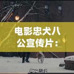 電影忠犬八公宣傳片：電影忠犬八公國語在線觀看完整 