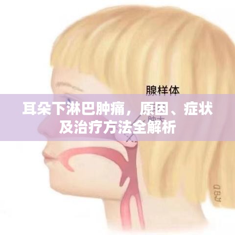 耳朵下淋巴腫痛，原因、癥狀及治療方法全解析