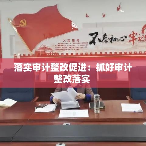 落實(shí)審計(jì)整改促進(jìn)：抓好審計(jì)整改落實(shí) 