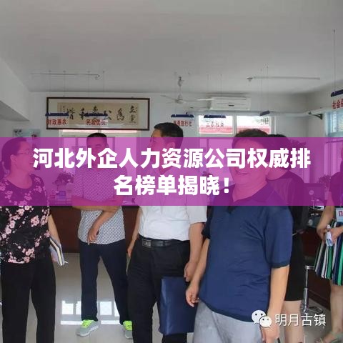 河北外企人力資源公司權(quán)威排名榜單揭曉！