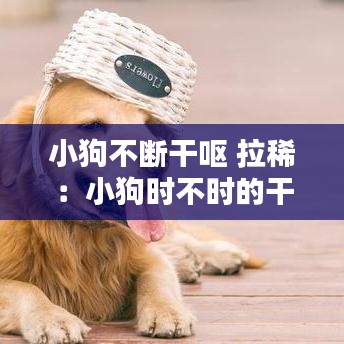 小狗不斷干嘔 拉?。盒」窌r不時的干嘔但吃喝拉撒正常 