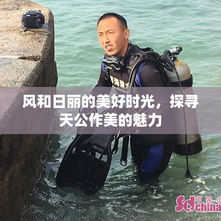 風(fēng)和日麗的美好時(shí)光，探尋天公作美的魅力