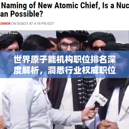 世界原子能機構(gòu)職位排名深度解析，洞悉行業(yè)權(quán)威職位排名內(nèi)幕！