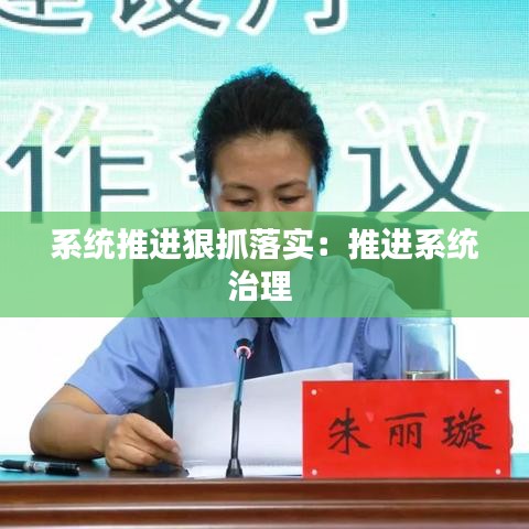 系統(tǒng)推進(jìn)狠抓落實(shí)：推進(jìn)系統(tǒng)治理 