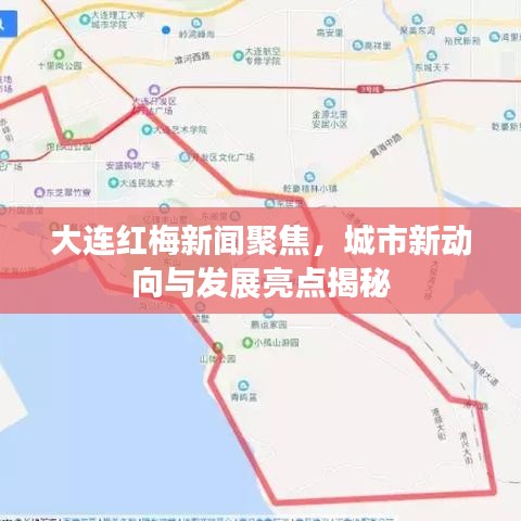 大連紅梅新聞聚焦，城市新動向與發(fā)展亮點揭秘