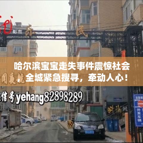 哈爾濱寶寶走失事件震驚社會(huì)，全城緊急搜尋，牽動(dòng)人心！