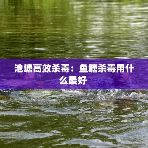 池塘高效殺毒：魚(yú)塘殺毒用什么最好 