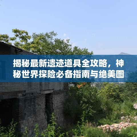 獨(dú)學(xué)寡聞 第2頁(yè)