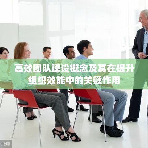 高效團(tuán)隊(duì)建設(shè)概念及其在提升組織效能中的關(guān)鍵作用