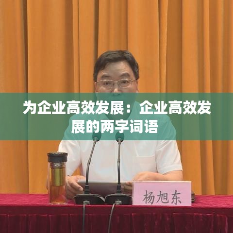 為企業(yè)高效發(fā)展：企業(yè)高效發(fā)展的兩字詞語 