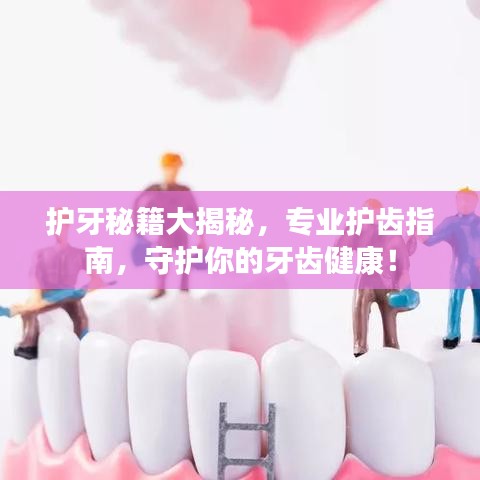 護(hù)牙秘籍大揭秘，專業(yè)護(hù)齒指南，守護(hù)你的牙齒健康！