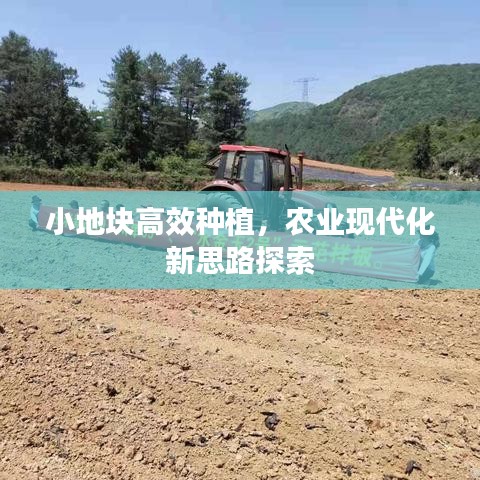 小地塊高效種植，農(nóng)業(yè)現(xiàn)代化新思路探索