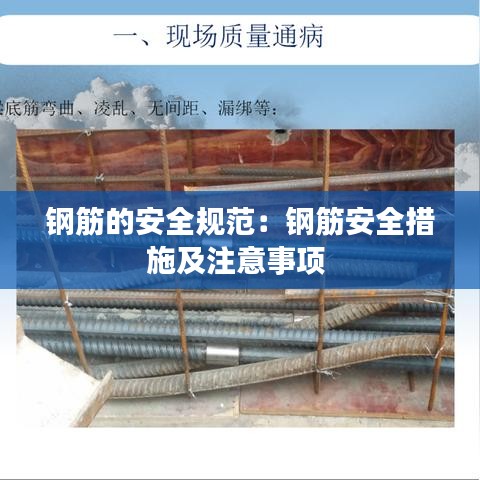 百不得一 第3頁