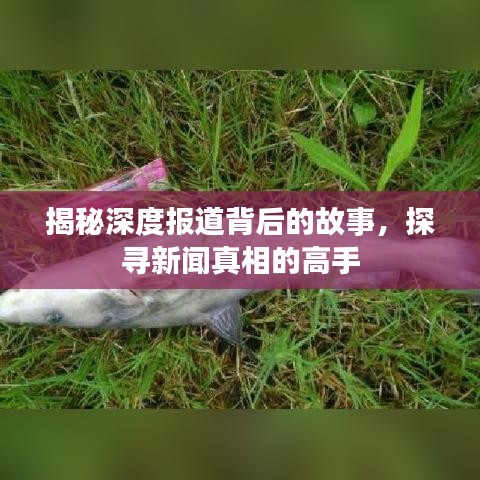 揭秘深度報道背后的故事，探尋新聞真相的高手