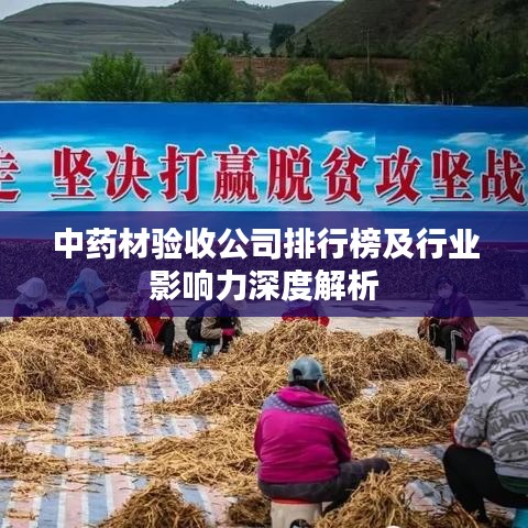 中藥材驗收公司排行榜及行業(yè)影響力深度解析