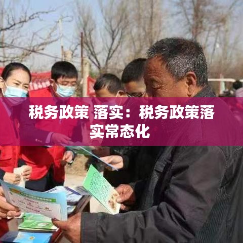稅務(wù)政策 落實(shí)：稅務(wù)政策落實(shí)常態(tài)化 