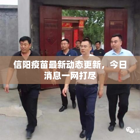 信陽疫苗最新動態(tài)更新，今日消息一網(wǎng)打盡