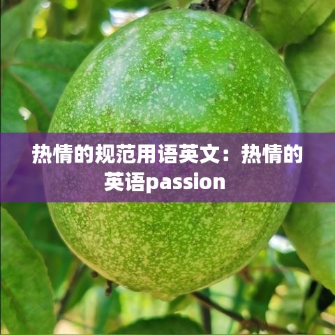 熱情的規(guī)范用語(yǔ)英文：熱情的英語(yǔ)passion 
