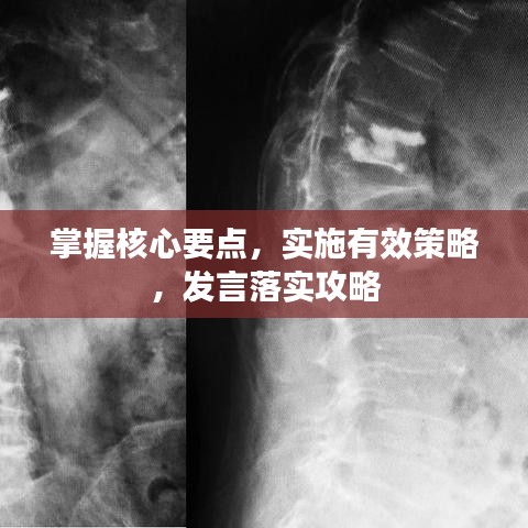 掌握核心要點(diǎn)，實(shí)施有效策略，發(fā)言落實(shí)攻略