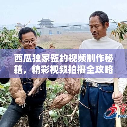 西瓜獨家簽約視頻制作秘籍，精彩視頻拍攝全攻略