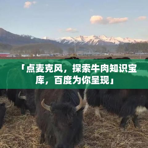 「點(diǎn)麥克風(fēng)，探索牛肉知識寶庫，百度為你呈現(xiàn)」
