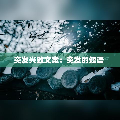 突發(fā)興致文案：突發(fā)的短語(yǔ) 