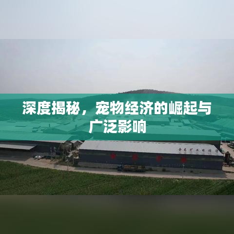 束手就禽 第2頁