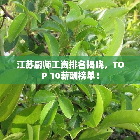 江蘇廚師工資排名揭曉，TOP 10薪酬榜單！