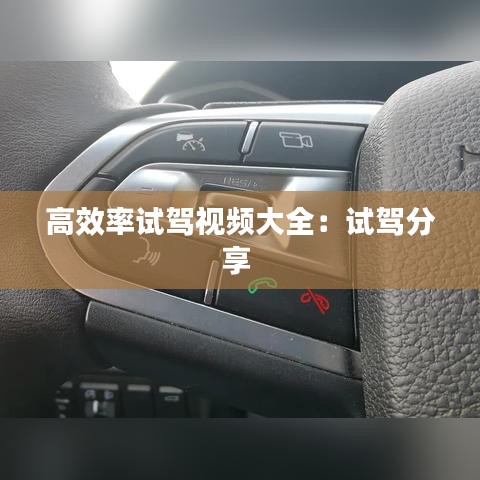 高效率試駕視頻大全：試駕分享 