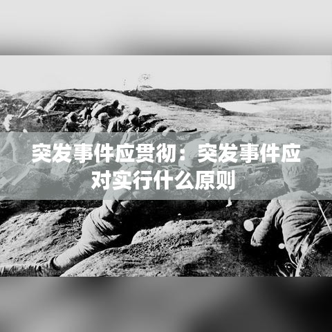 突發(fā)事件應貫徹：突發(fā)事件應對實行什么原則 