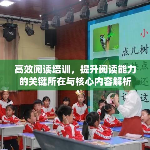 高效閱讀培訓(xùn)，提升閱讀能力的關(guān)鍵所在與核心內(nèi)容解析